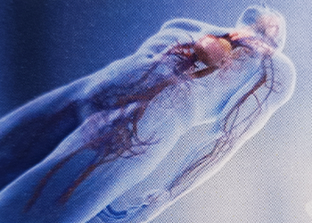 ■Significant Changes