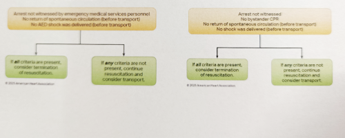 ■Termination of Resuscitation Algorithms