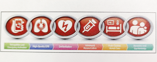 Universal Chain of Survival