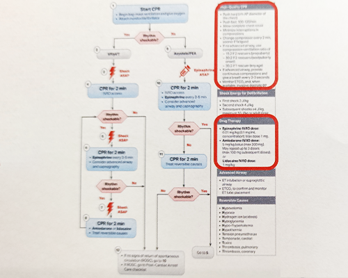 ■Updated Algorithms