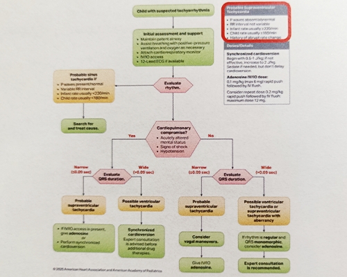 ■Updated Algorithms