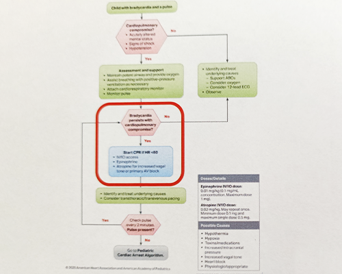 ■Updated Algorithms