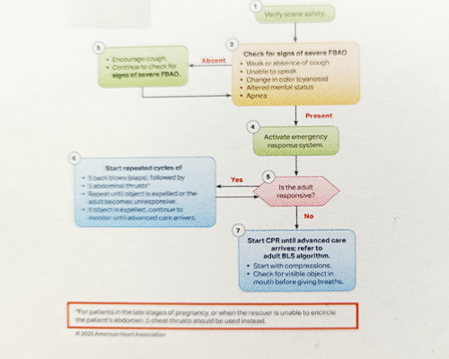 ■Adult Foreign Body Airway Obstruction